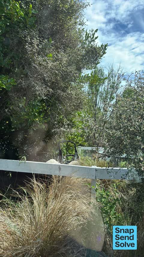 Litter — a report photo