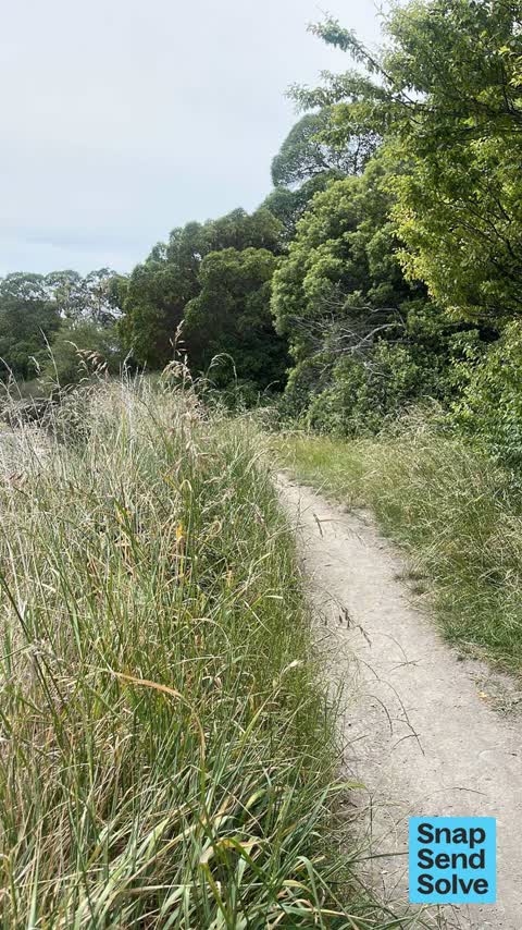 Overgrown Vegetation, a report photo