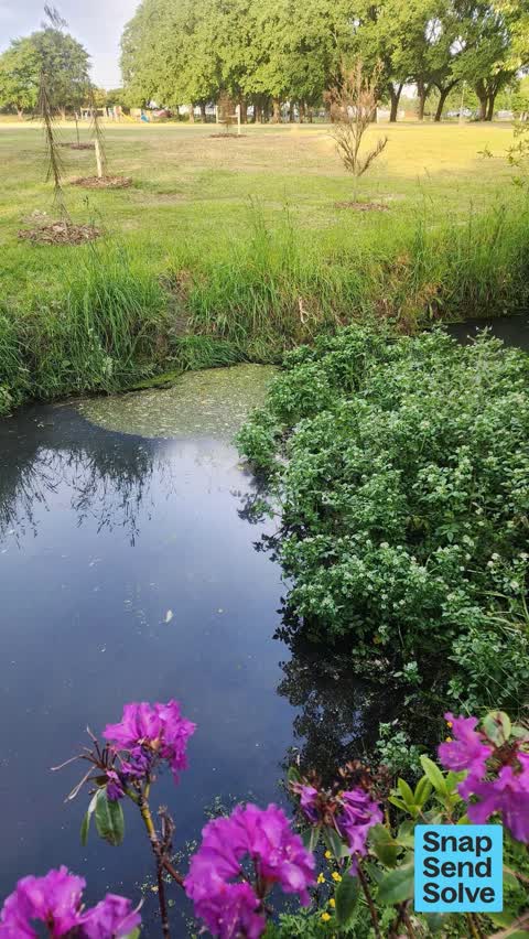 Overgrown Vegetation, a report photo
