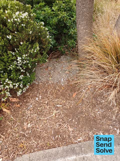 Dumped Rubbish, a report photo