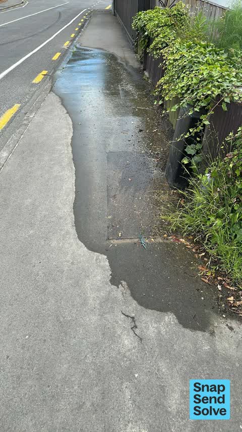 Water Leak, a report photo
