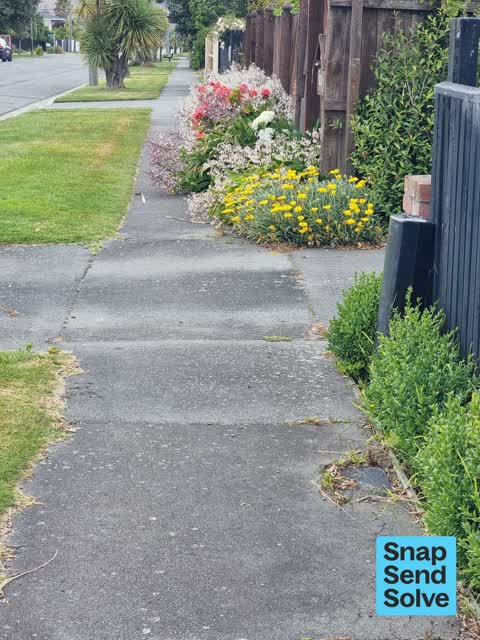 Overgrown Vegetation, a report photo