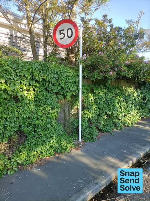 Poles and Signage - General, a report photo