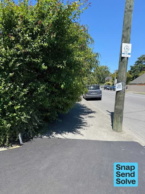 Overgrown Vegetation, a report photo
