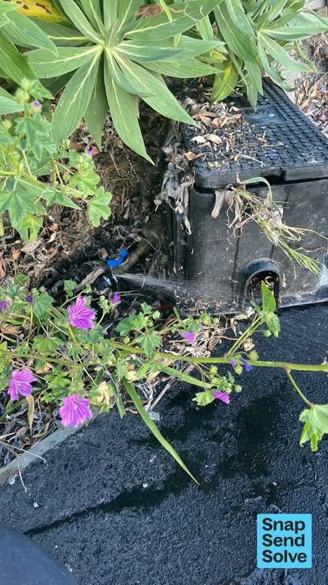 Water Leak, a report photo