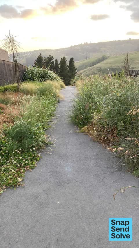 Overgrown Vegetation, a report photo