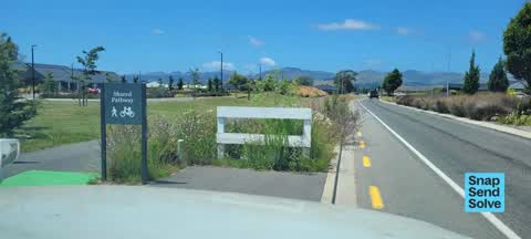 Overgrown Vegetation, a report photo