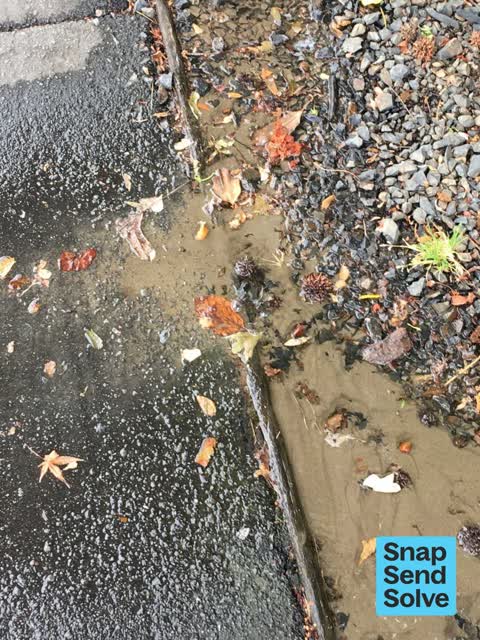 Water Leak, a report photo