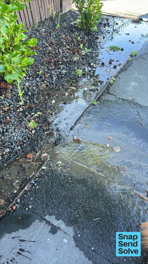 Water Leak, a report photo