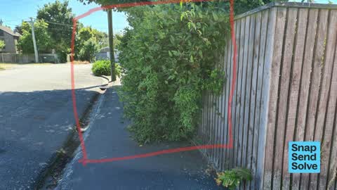 Overgrown Vegetation — a report photo