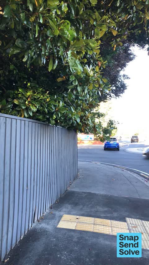 Overgrown Vegetation — a report photo
