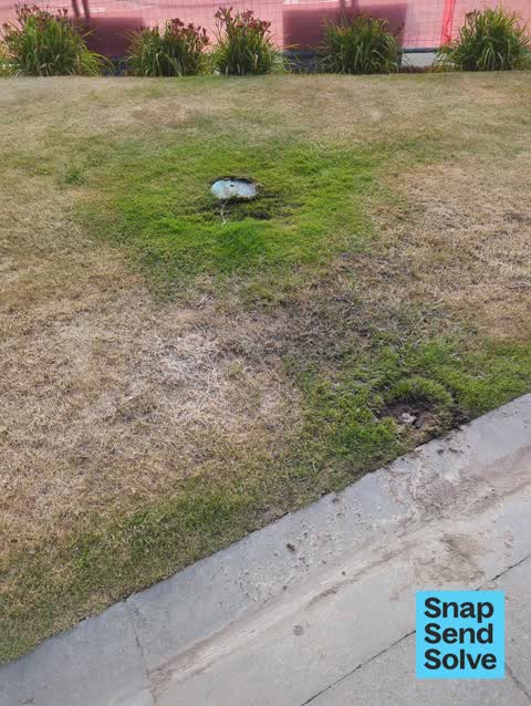 Water Leak, a report photo