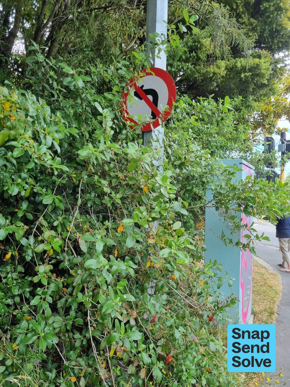 The photograph attached to this overgrown vegetation report