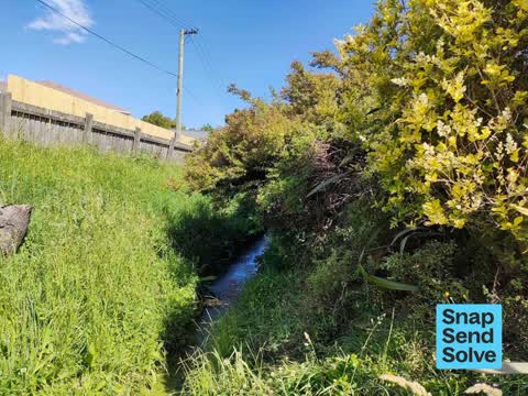 Overgrown Vegetation, a report photo