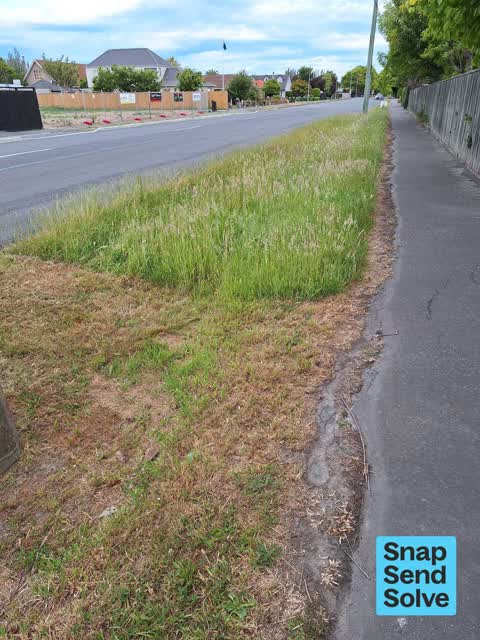 Overgrown Vegetation, a report photo