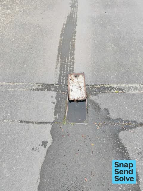 Sewer - Leak / Blockage, a report photo