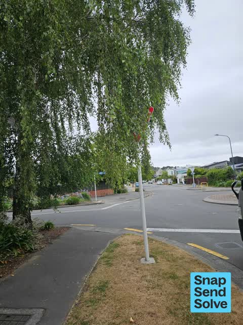 Overgrown Vegetation, a report photo