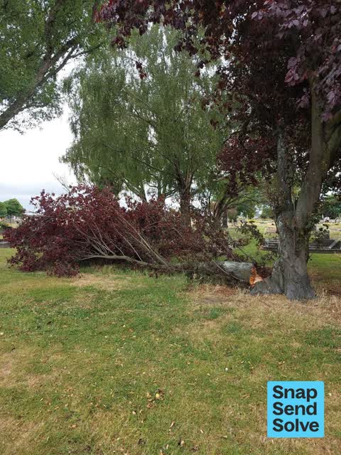 Park - General Request, a report photo