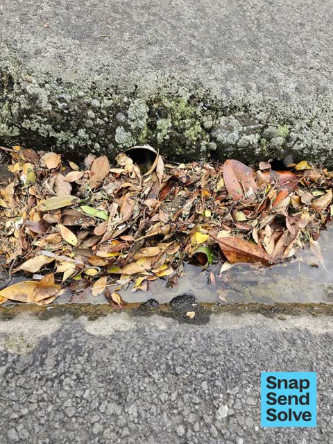 Street Gutters / Storm Water, a report photo