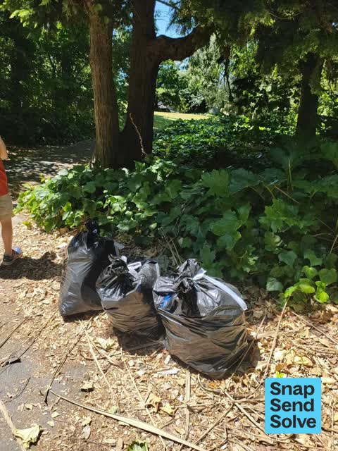 Dumped Rubbish — a report photo