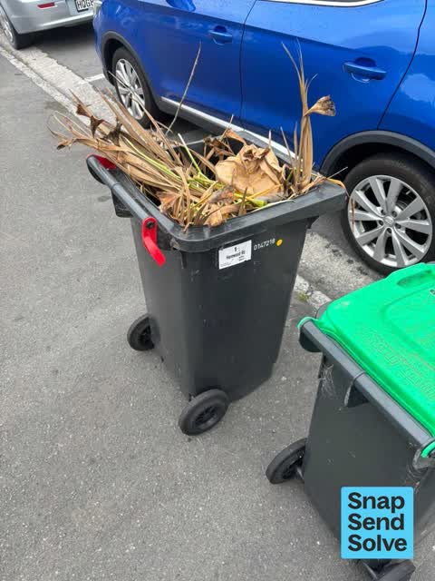 Rubbish and Bins - General, a report photo
