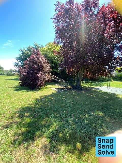 Park - General Request — a report photo