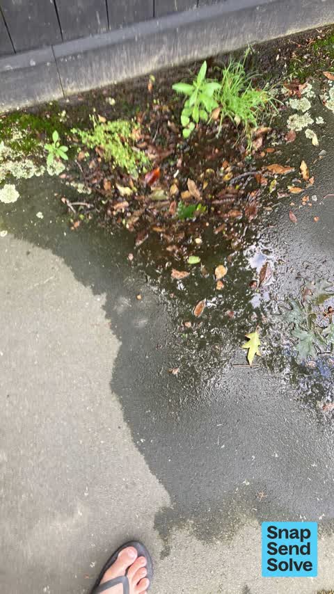 Water Leak, a report photo