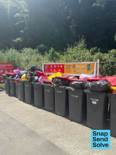 Rubbish and Bins - General, a report photo