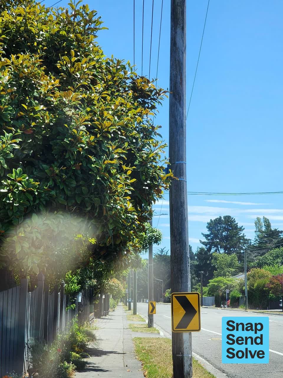 The photograph attached to this overgrown vegetation report