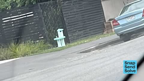 Dumped Rubbish, a report photo