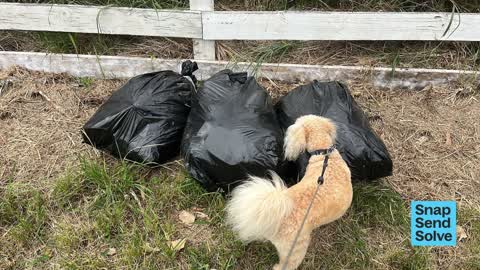 Dumped Rubbish — a report photo