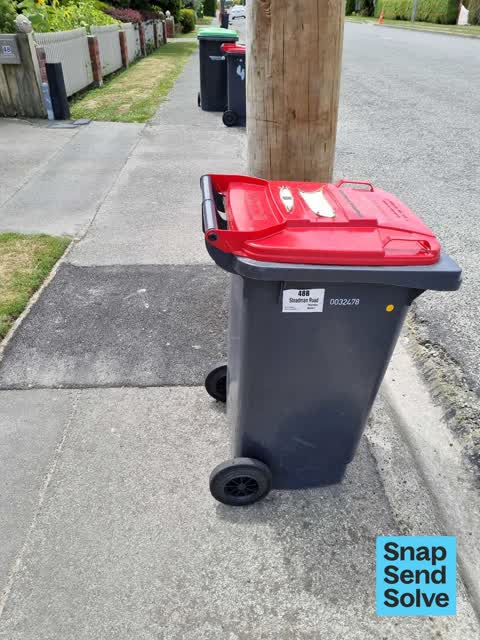 Rubbish and Bins - General, a report photo
