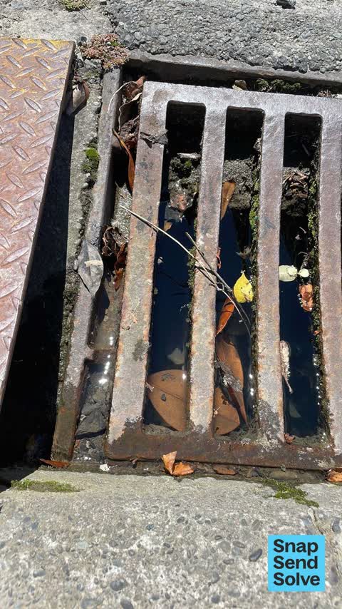 Street Gutters / Storm Water, a report photo
