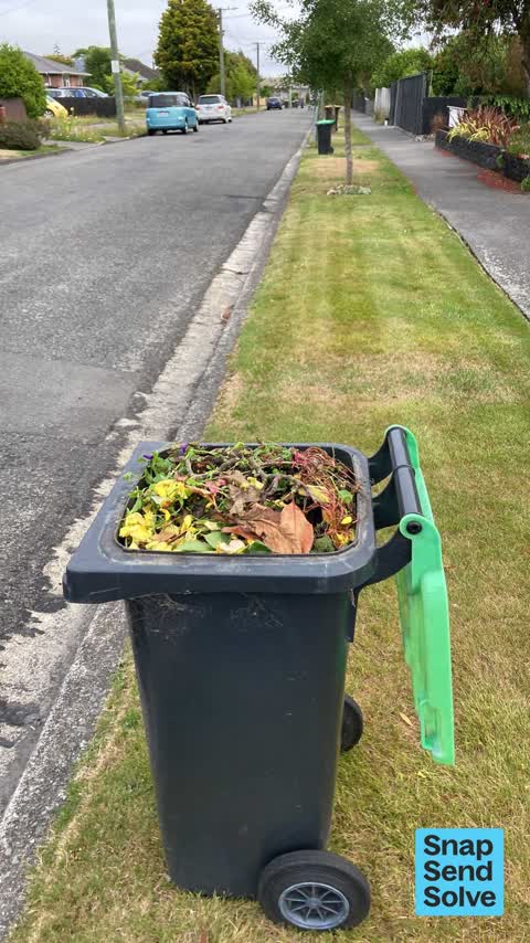 Rubbish and Bins - General, a report photo