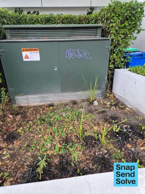 Graffiti somewhere else, a report photo