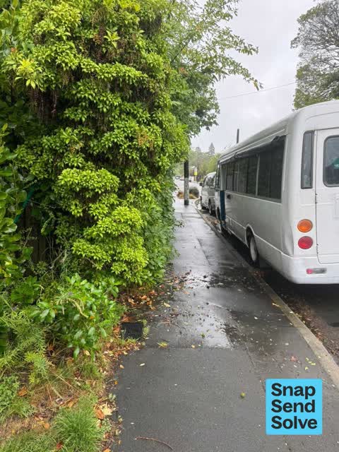 Overgrown Vegetation, a report photo