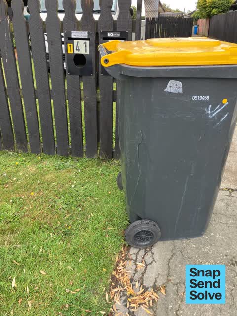 Rubbish and Bins - General, a report photo