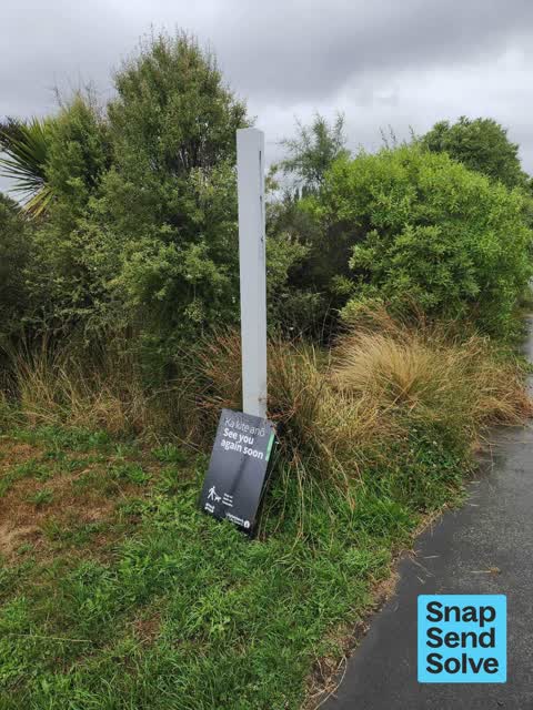 Park - General Request, a report photo