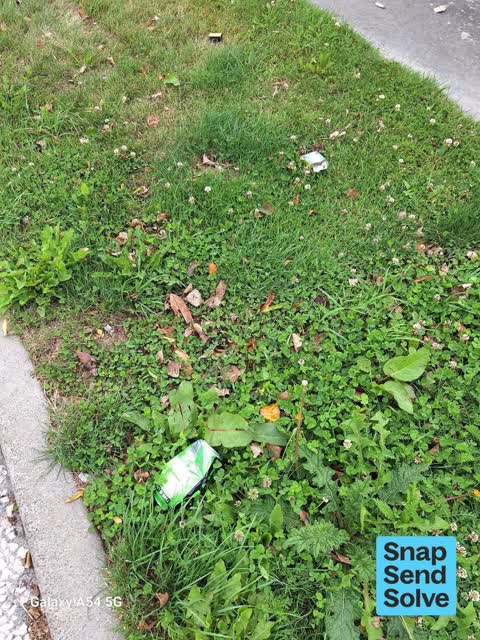 Litter, a report photo