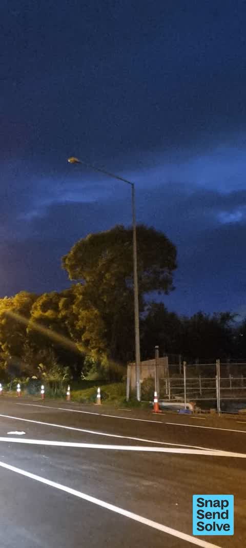 Street Light Outage, a report photo