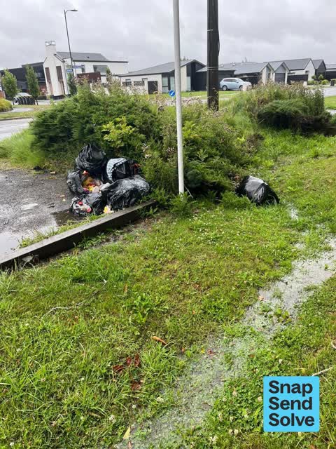 Litter, a report photo