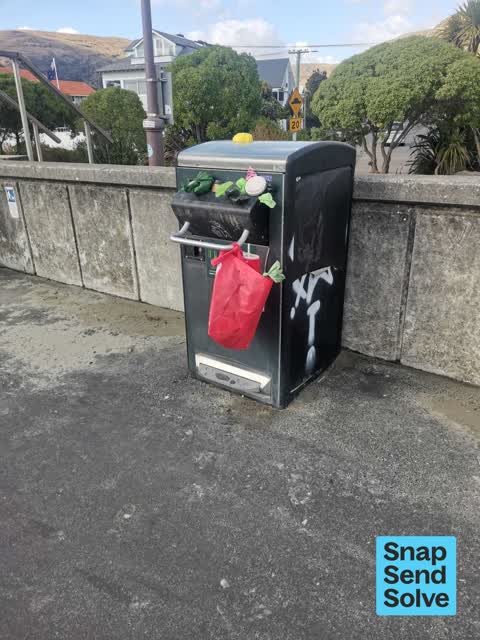 Litter — a report photo