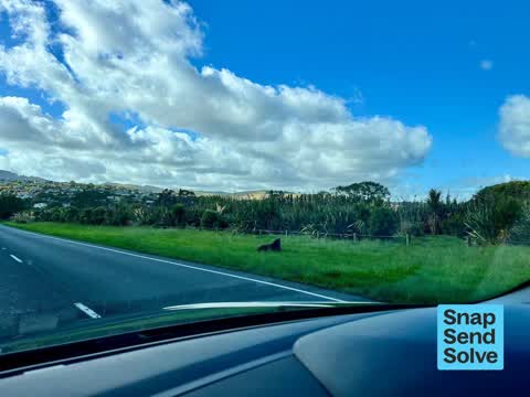 Dumped Rubbish — a report photo