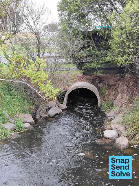 Street Gutters / Storm Water — a report photo