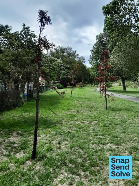 Park - General Request — a report photo