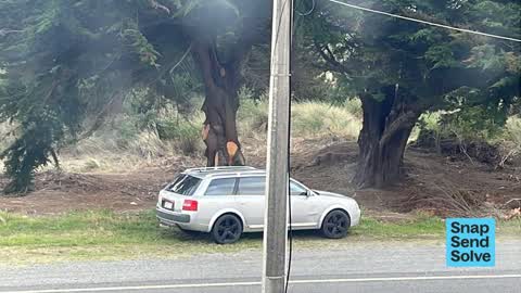 Hazard, vehicle, a report photo