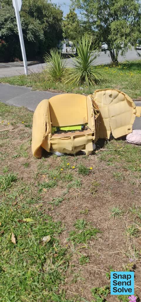 Litter, a report photo
