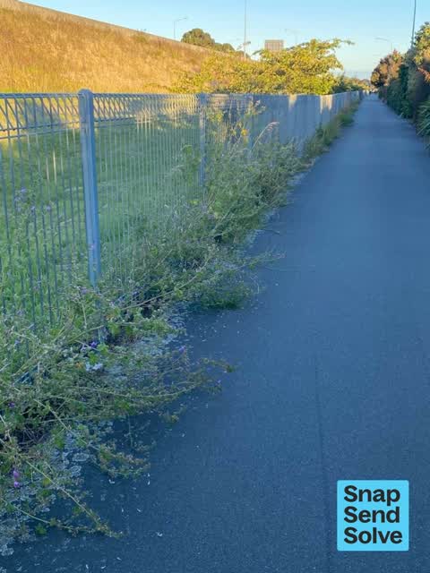 Overgrown Vegetation, a report photo