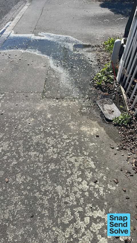 Water Leak, a report photo