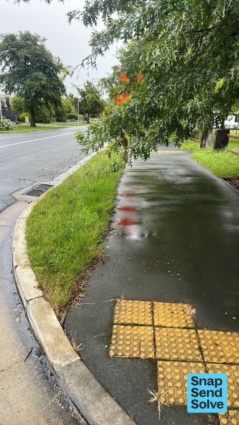 Overgrown Vegetation — a report photo